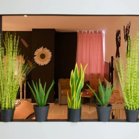 Le Cocoon & By Nancyintimelounge Nancy