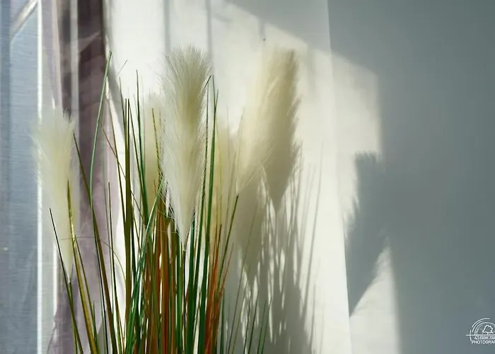 Апартаменты Le Cocoon & By Nancyintimelounge