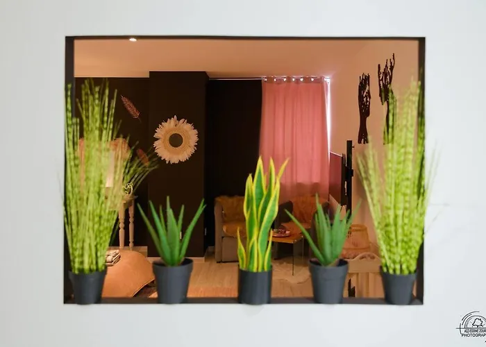 Le Cocoon & By Nancyintimelounge Нанси