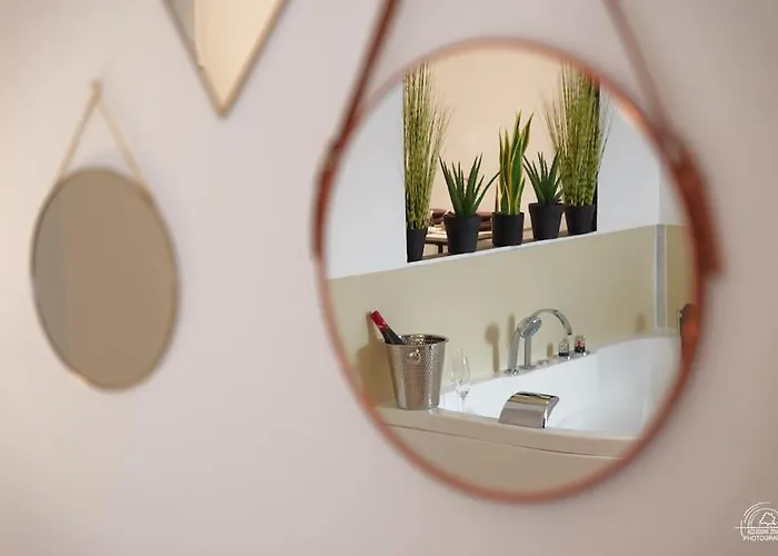 Le Cocoon & By Nancyintimelounge Apartment Nancy